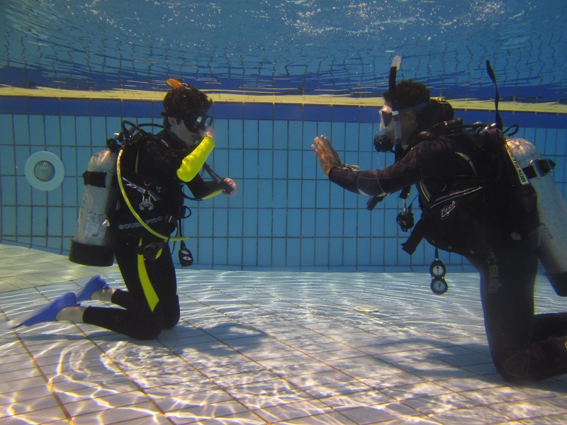 aquatic sport, 1080P, underwater diving, water, training, aqualung - diving equipment, diving equipment, women, real people, leisure activity, animal wildlife