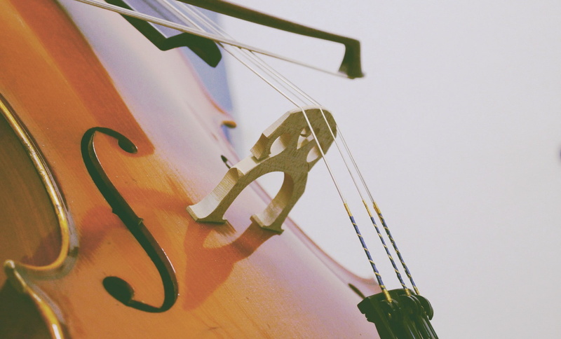 close-up, day, violin, no people, wood - material, still life, 1080P, arts culture and entertainment, musical equipment, white background, studio shot