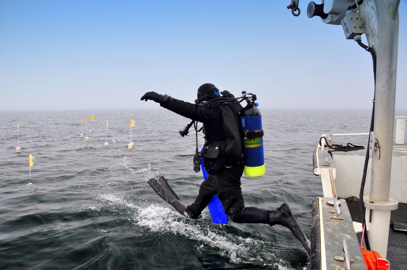 transportation, military, suit, diving, boat, outdoors, sea, sport, tanks, lifestyle, people, lake, day, ocean, aquatic sport, nature, mask, military training