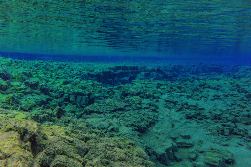 sea, ice cold, turquoise colored, finimeter, bcd, animal wildlife, diving suit, no people, reef, day, ecosystem, travel, tranquility, nature, ocean, lung machine