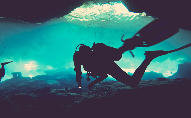 sport, animals in the wild, scuba diving, aquatic sport, nature, animal wildlife, undersea, underwater, underwater diving, animal, exploration, rock, real people
