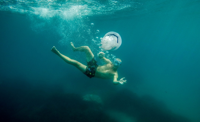 travel Destinations, diving Flipper, man, tropical Climate, nature, forever, recreational Pursuit, deep, underwater, outdoors, sea, coral, bubble, relaxation