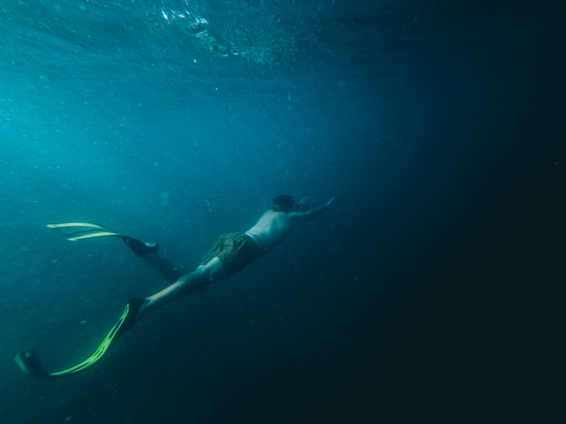 animal themes, sport, man, person, 4K, diver, one person, ocean, flipper, nature, vertebrate, underwater, underwater diving, diving, sports, aquatic, male