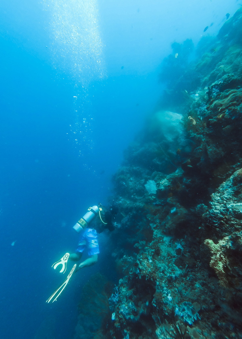 leisure activity, scuba diving, person, outdoors, diving flipper, one person, sport, underwater, photography, indonesia, unrecognizable person, sea, man