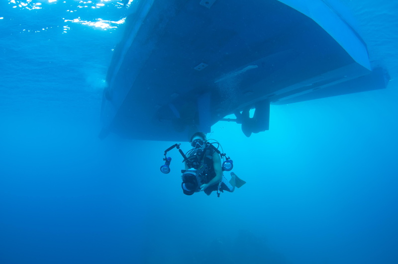 leisure activity, diving equipment, lifestyles, real people, nature, swimming, blue, undersea, underwater, adventure, 4K, water, photography, camera, sport