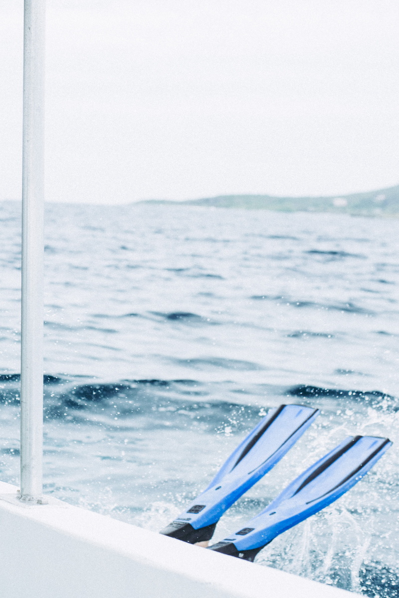 idyllic, horizon, aquatic sport, copy space, diver, outdoors, diving, horizon over water, wave, tranquil scene, photo, water, no people, day, blue, scenics - nature