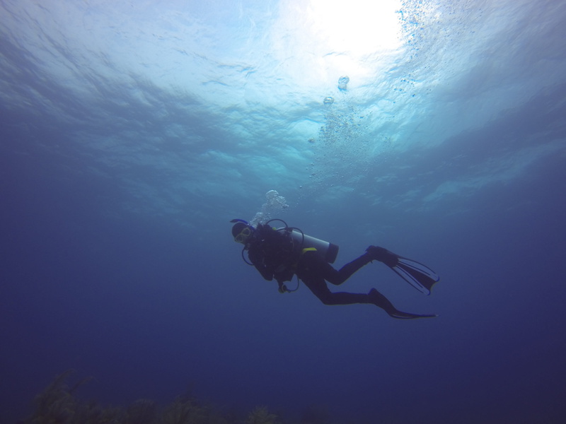 blue, sport, water, leisure activity, 4K, swimming, Dive, diving flipper, nature, aquatic sport, diving equipment, sea, underwater, one person, exploration