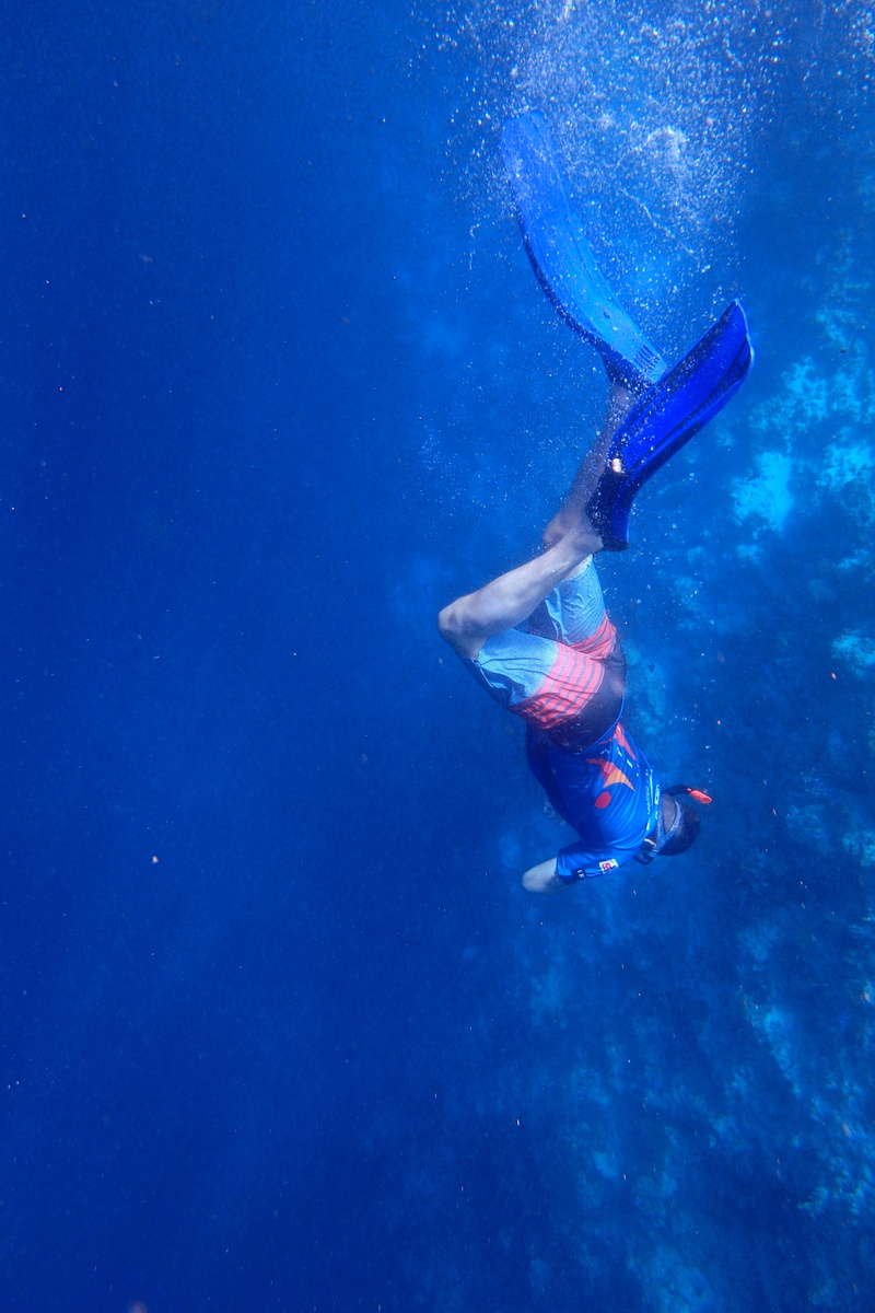 marine, diving flipper, sport, underwater diving, boy, diving equipment, sea, swim, outdoors, dive, adventure, the depths, swimming, undersea, full length