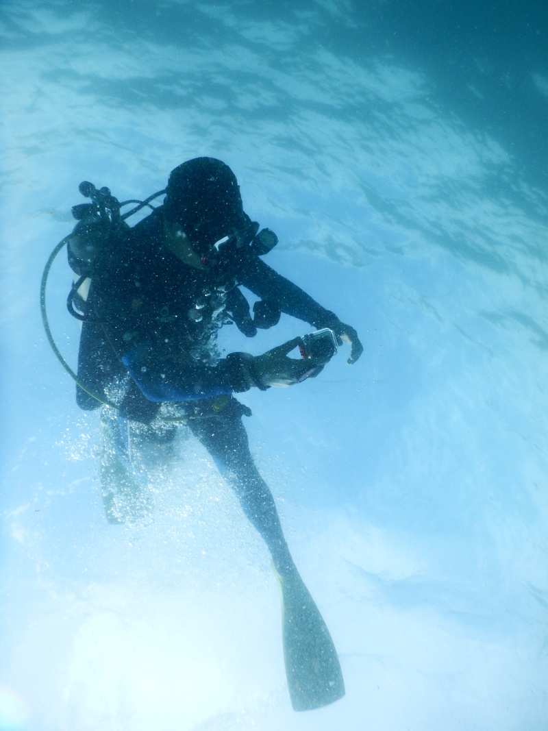exploration, lifestyles, leisure activity, scuba Diving, diving, outdoors, diving equipment, tang shui tribe, swimming, nature, diving flipper, sport, sea