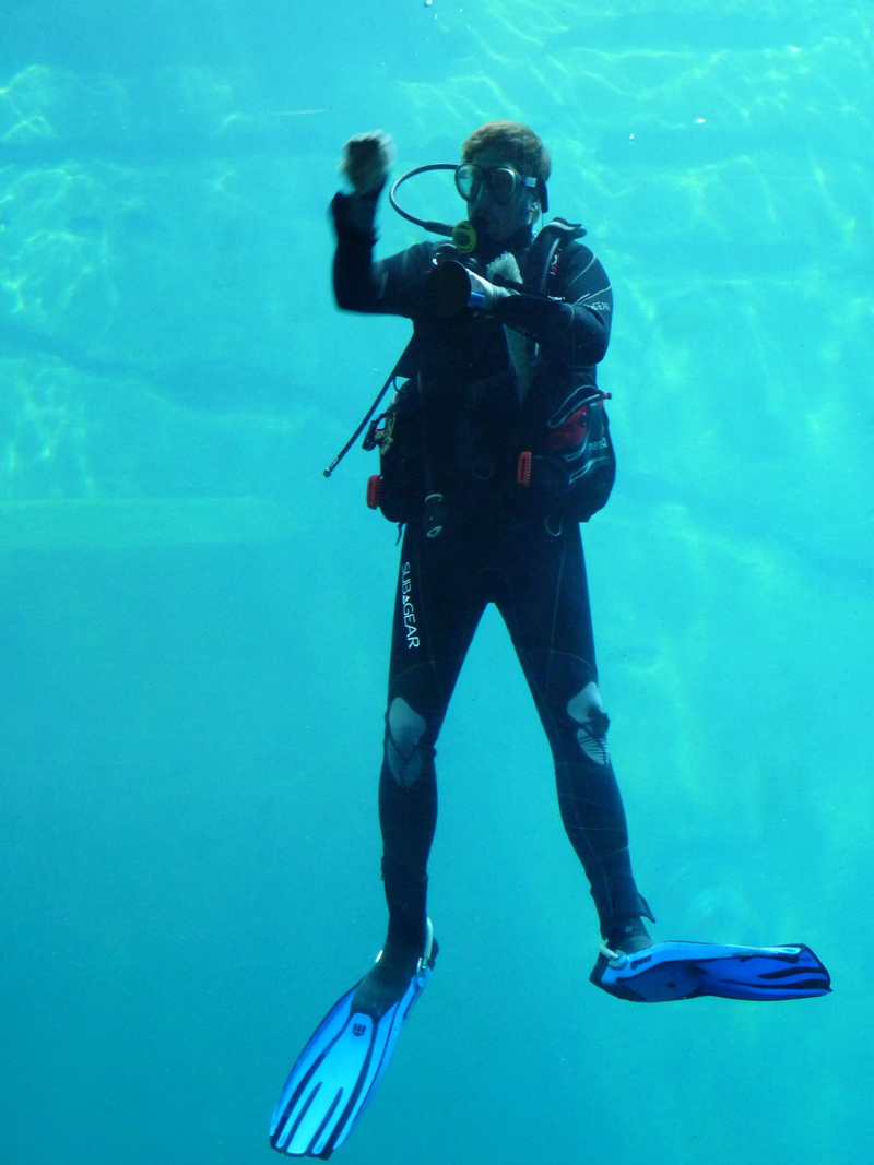 4K, undersea, adventure, diving equipment, full length, marine, water, diving suit, swimming, diving flipper, divers, exploration, sea, scuba diving, real people
