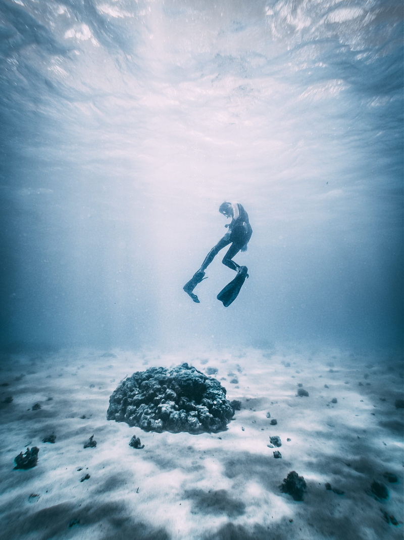 diving flipper, diving equipment, dividing, 4K, beauty in nature, leisure activity, sea, undersea, exploration, sport, one person, underwater, real people