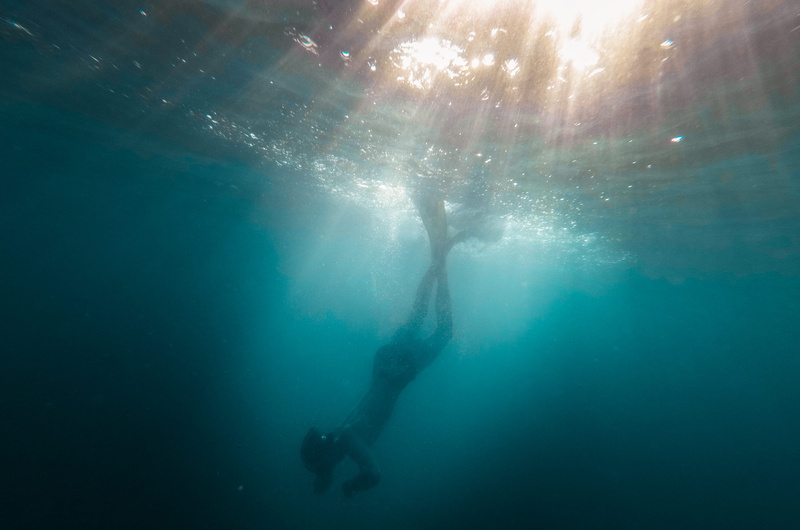 action, snorkeling, nature, females, diving Into Water, person, diver, activity, adventure, below, light, scuba Diving, photo, motion, healthy Lifestyle