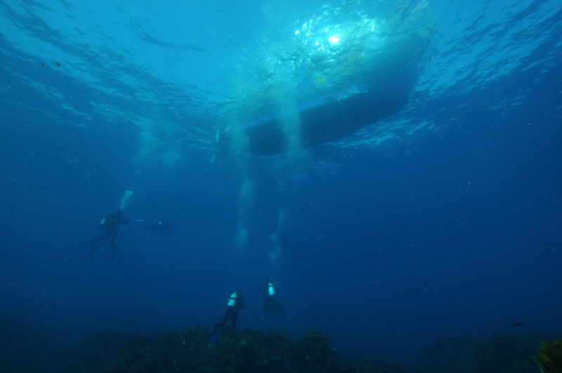 exploration, diving equipment, sea, blue, divers, outdoors, unrecognizable person, undersea, people, nature, diving, water, marine, aquatic sport, vacations