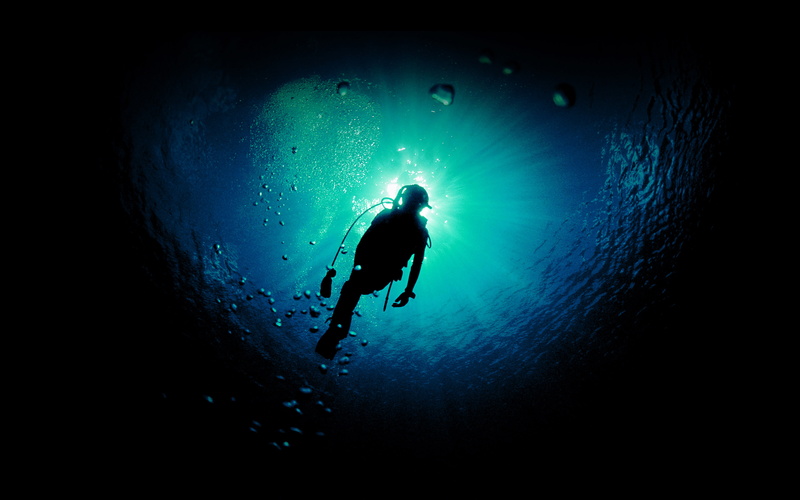 sea, deep, green, animals in the wild, aquatic sport, blue, marine, diving flipper, dive, animal wildlife, silhouette, 4K, one person, exploration, underwater diving