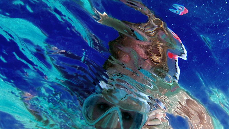 caribbean islands, holiday, no people, animal themes, animals in the wild, caribbean blue, dive, goggles, underwater, swimming, sea life, 2K, vertebrate