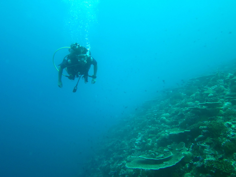 diving equipment, nature, ocean, blue, water, undersea, diving flipper, maldives, leisure activity, underwater, aquatic sport, real people, swimming, unrecognizable person