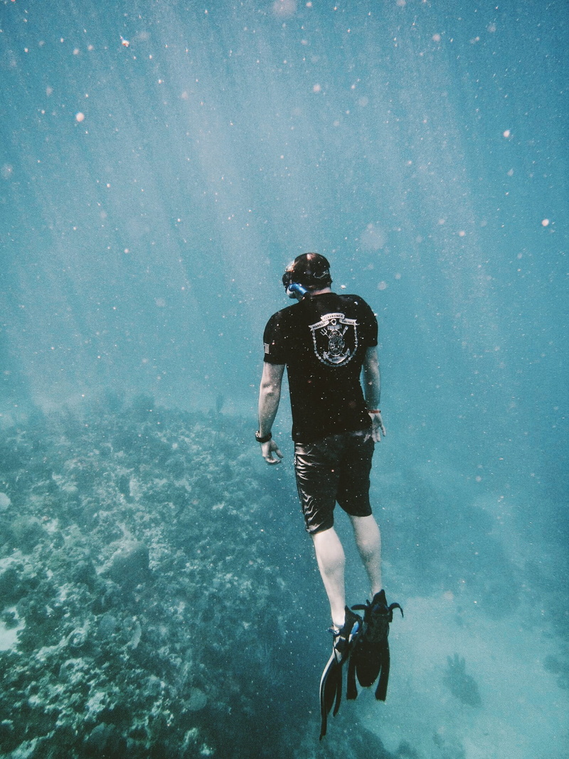 one person, nature, scuba diving, sport, snorkel, outdoors, water, exploration, ocean, adventure, sea, underwater, swim, day, undersea, eyewear, swimming
