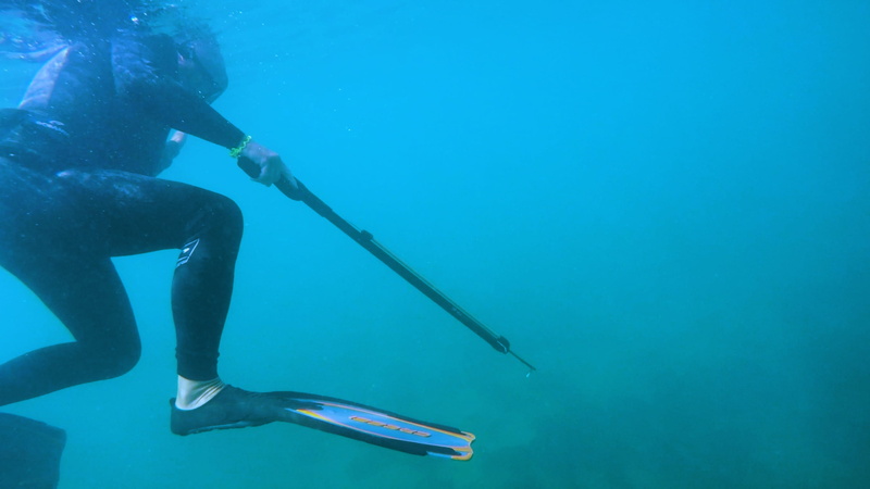 scuba, scuba diving, deep, diving flipper, swimming pool, blue, swimming, active, speargun, sport, diving equipment, 2K, nature, undersea, blue waters