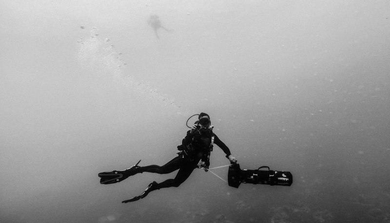 back and white, water, adult, sea, flipper, day, cold temperature, black and white, scuba, ocean, wearing, scuba diving, underwater, diving flipper, holding