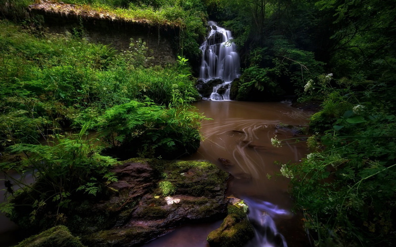 waterfall, tranquility, sari, purple, outdoors, motion, women, water, stream, growth, 720P, plants, rainforest, day, scenics - nature, no people, land