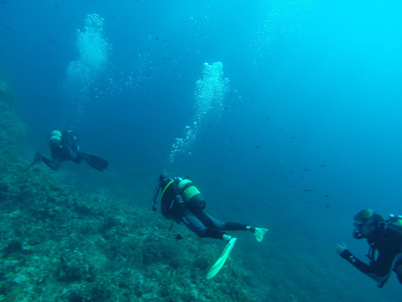 france, outdoors, undersea, sea, underwater diving, swimming, marin, water, unrecognizable person, diving suit, diver, diving equipment, mediterranean sea