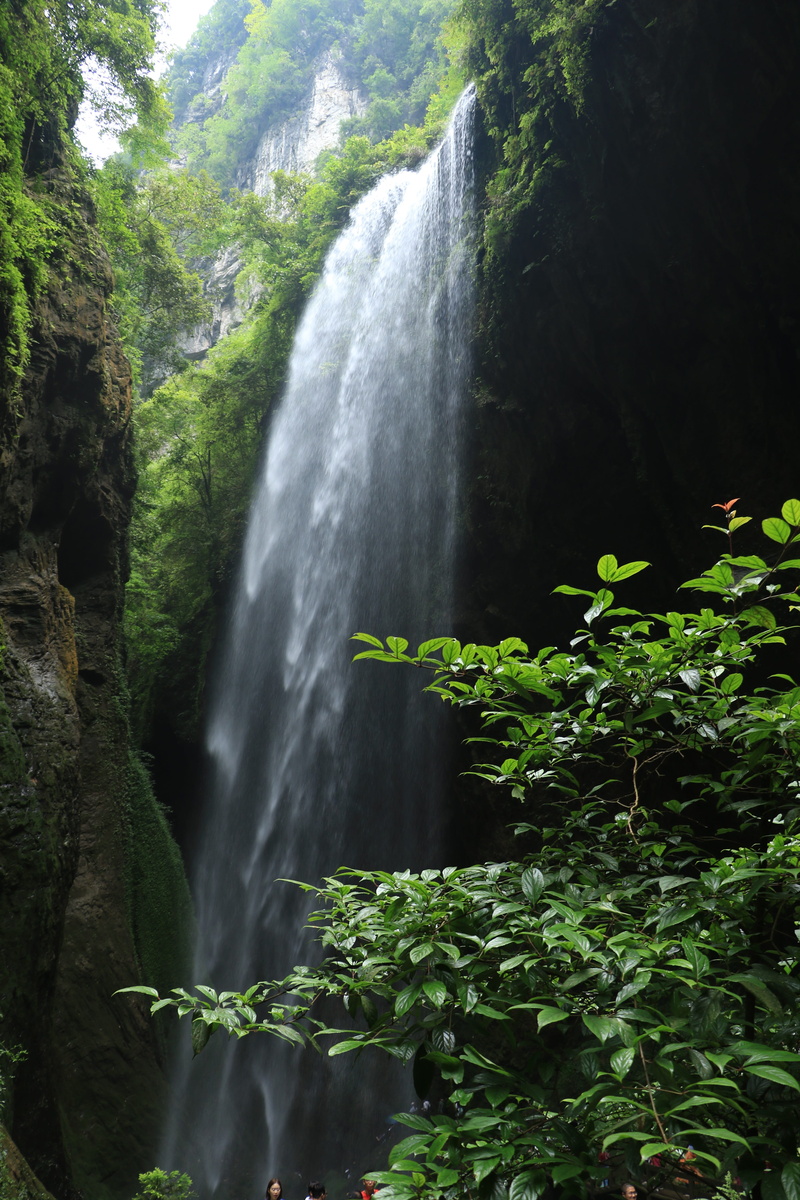 waterfall, flowing, no people, beauty in nature, forest, scenics - nature, plant, wulong, tree, power in nature, power, falls, 5K, motion, nature, land
