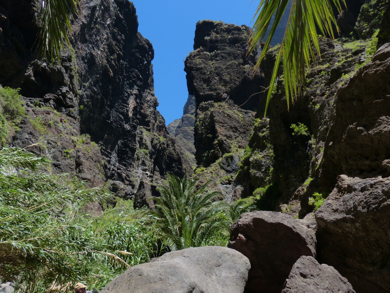 tenerife, rock formation, gorge, masca ravine, tranquility, solid, beauty in nature, mountain, land, canary islands, tree, outdoors, hike, day, growth