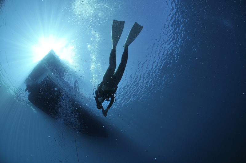 sunlight, underwater, sport, exploration, blue, sea, one person, underwater diving, diving flipper, aquatic sport, divers, diving, skill, scuba diving