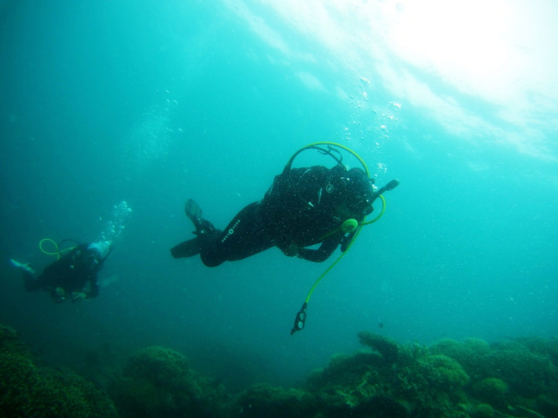 sea, sport, beneath, dive, diving, two, underwater diving, diving equipment, adventure, swimming, full length, leisure activity, 4K, outdoors, scuba diving