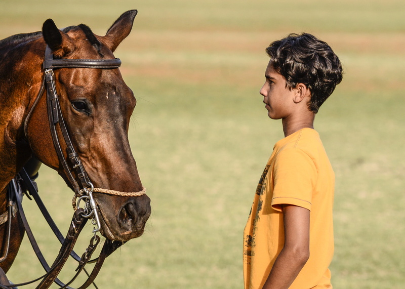 boy, domestic, pets, infront, day, animal wildlife, domestic animals, child, polo player, livestock, boys, males, positive emotion, riding, polo sport
