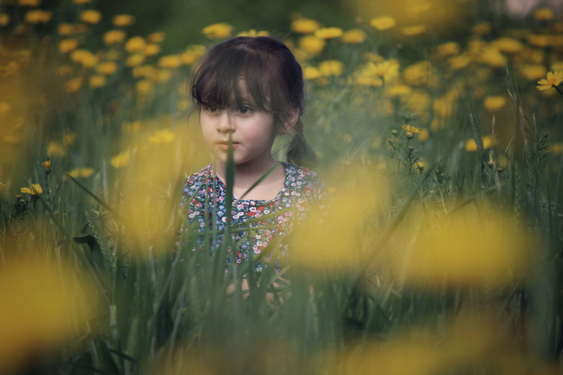 girls, flowering plant, petaled, standing, one person, red, flowers, wearing, selective focus, contemplation, floral, multicolored, field, land, plant