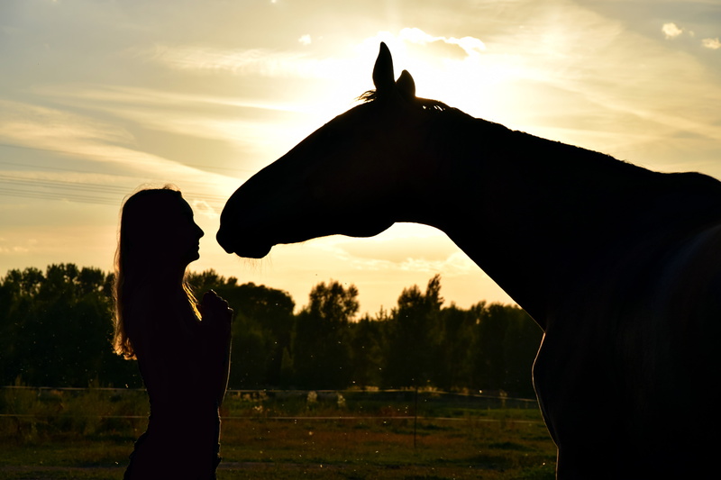 people, hand, human hand, woman, real people, women, friends, ride, vertebrate, sky, orange color, animal, silhouette, human arm, beauty in nature, 5K
