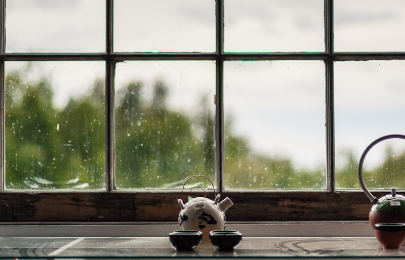 pets, raindrop, rain, rainy season, day, animal, animal themes, mammal, ceramic, counter, nature, teapot, waiting, one animal, two, transparent, toy, wet