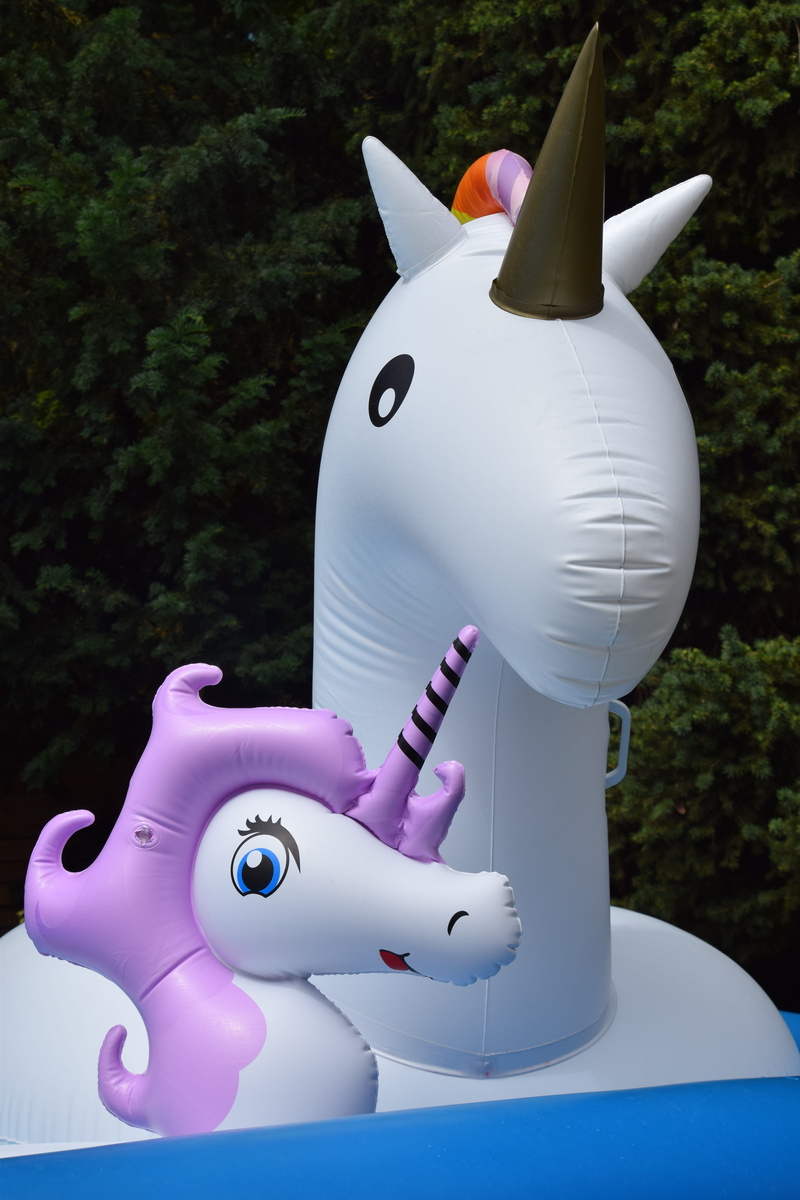 two horn, plant, no people, toy, two, plastic, pink color, animal themes, focus on foreground, inflatable, white, nature, unicorn, day, representation