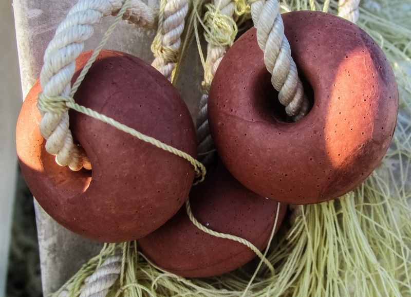 no people, equipment, freshness, 2K, rope, high angle view, plant, fishing net, nature, wellbeing, food, day, group of objects, close-up, healthy eating