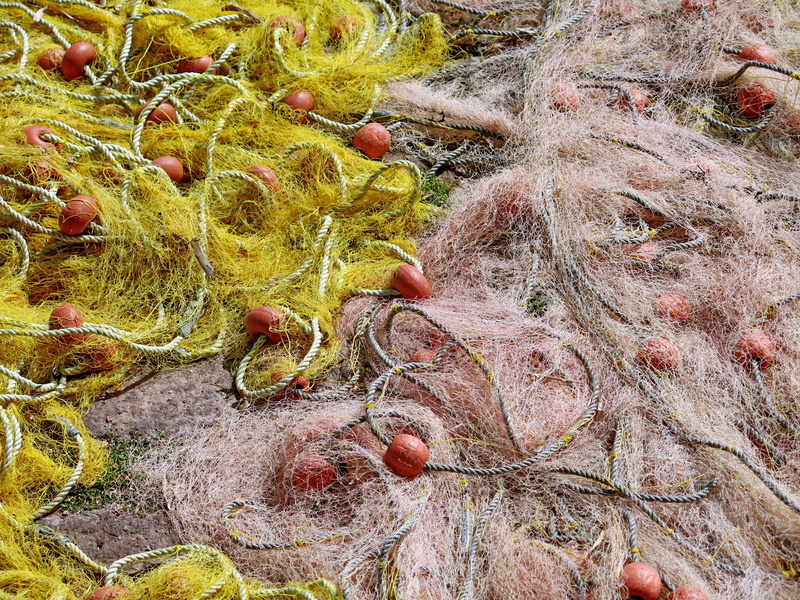 dry, full frame, buoy, Nets, mesh, leaf, outdoors, Fishnet, forest, nets, equipment, nature, tree, fishing-net, Fishing, day, harbor, Tangled, backgrounds