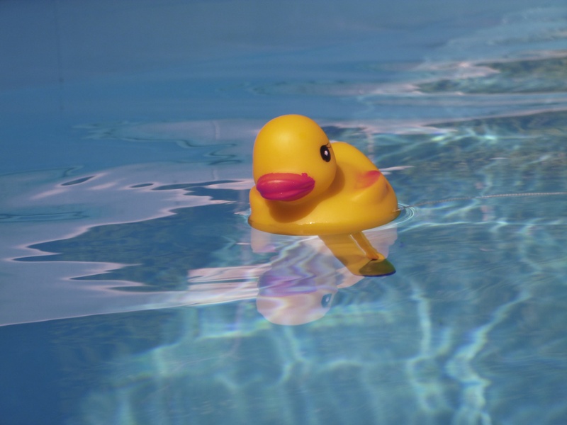 swim, swimming pool, day, inflatable, single object, water, swimming, 4K, no people, yellow, nature, pool, holiday, bath duck, outdoors, animal representation