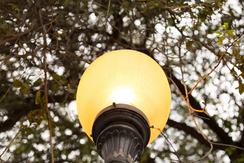illuminated, light bulb, dallas, close-up, sphere, 5K, sky, outdoors, street light, tree, electric lamp, yellow, lighting equipment, hanging, united states