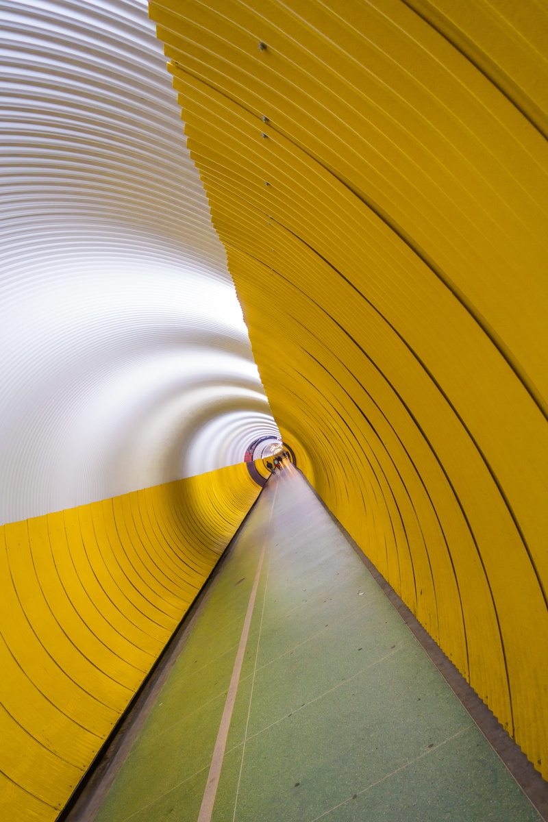 tunnel, textile, protection, no people, focus on foreground, full frame, day, umbrella, high angle view, yellow, design, plant, tube, security, close-up