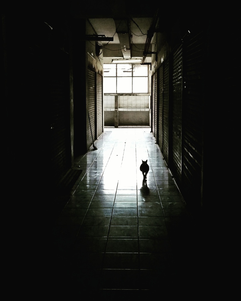 one person, the way forward, indoors, arcade, flooring, architecture, real people, tunel, direction, silhouette, light, way, lifestyles, men, staircase