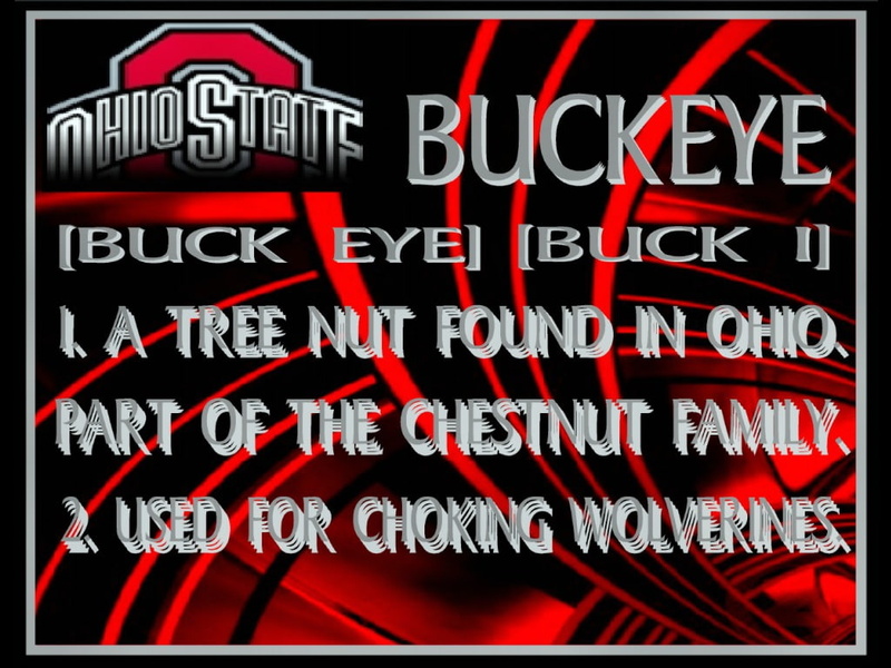 BUCKEYES, football, buckeye, art, DEFINITION, OHIO, sports, hd, STATE, 480P