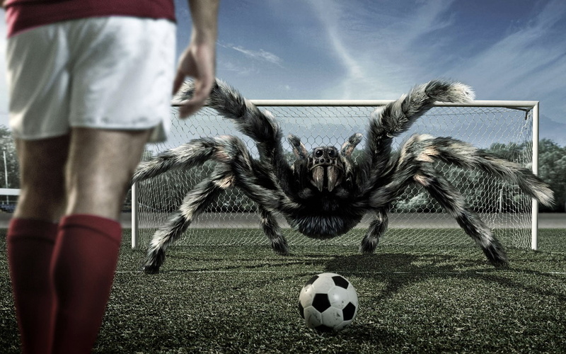 football, art, view, hd, spiders, x, 720P, soccer, d, 3D view, sports