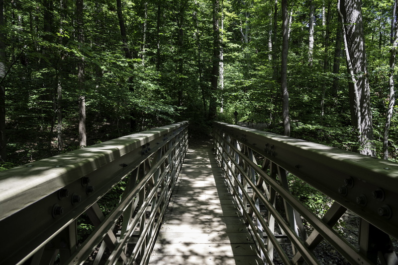 cayuhoga valley national park, railroad Track, plant, nature, day, National Park, land, cayuhoga, footbridge, tranquility, national, bridge - man made structure