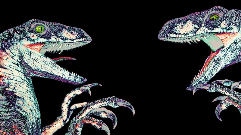 animal head, close-up, nature, studio shot, vertebrate, copy space, no people, pattern, animals in the wild, lizard, one animal, black background, indoors