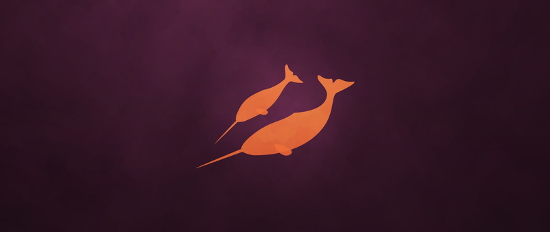 2K, narwhals, simple