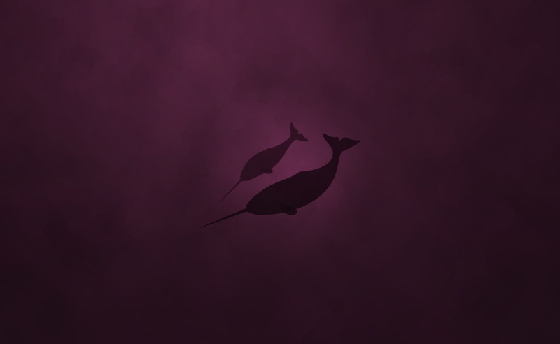 beauty in nature, flying, nature, purple, vulnerability, fish, fragility, pink color, flower, no people, animal wildlife, Linux, Natty, vertebrate