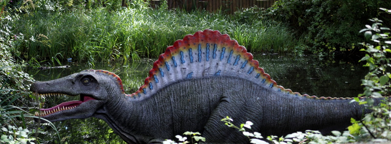 reptile, plant, raptor, no people, mammal, animal representation, animal head, animals in the wild, outdoors, animal body part, grass, 8K, animal wildlife