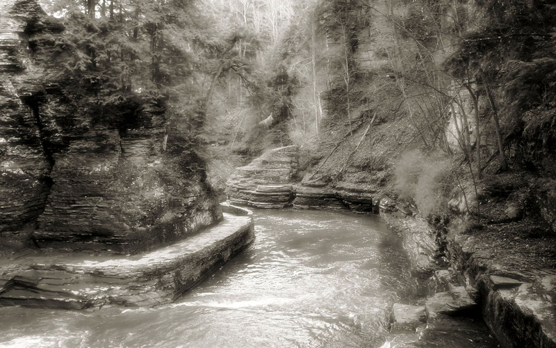 beauty in nature, land, forest, flowing, monochrome, day, flowing water, no people, sepia, rock, waterfront, landscape, scenics - nature, trees, non-urban scene