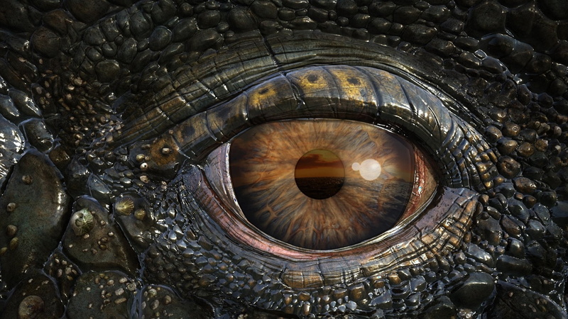 Animal, Movie, Reptile, Crocodile, Sea Rex 3D: Journey To A Prehistoric World , Eye, Wildlife, Close-Up, 1080P