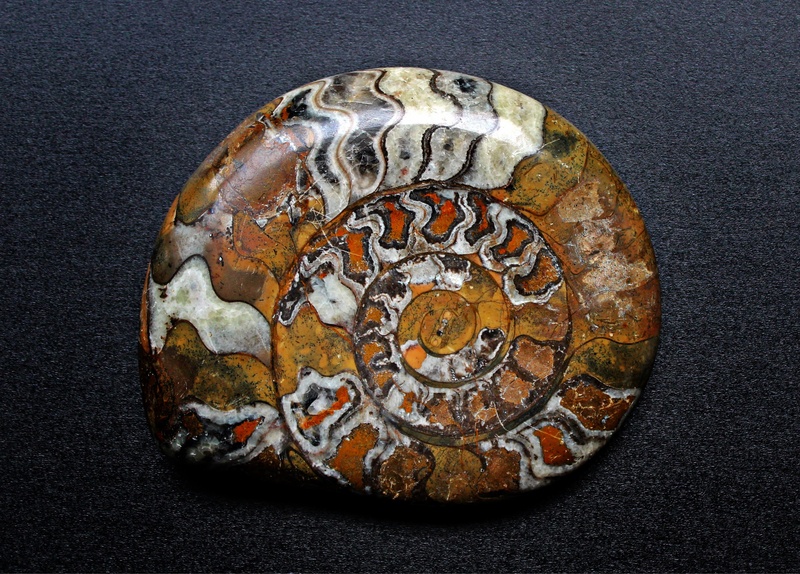 fossil, single object, snail shell, geometric shape, decorative, solid, high angle view, gray background, fossils, stone, jewelry, multi colored, no people
